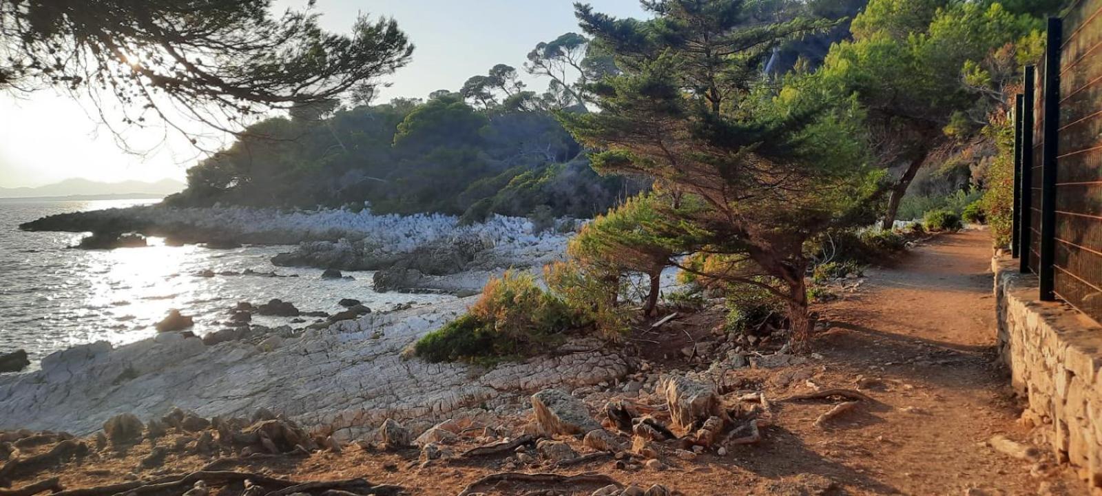 Studio Sun-Beach Avec Parking Et Jardin - 500M Des Plages De Juan Les Pins Antibes Eksteriør bilde