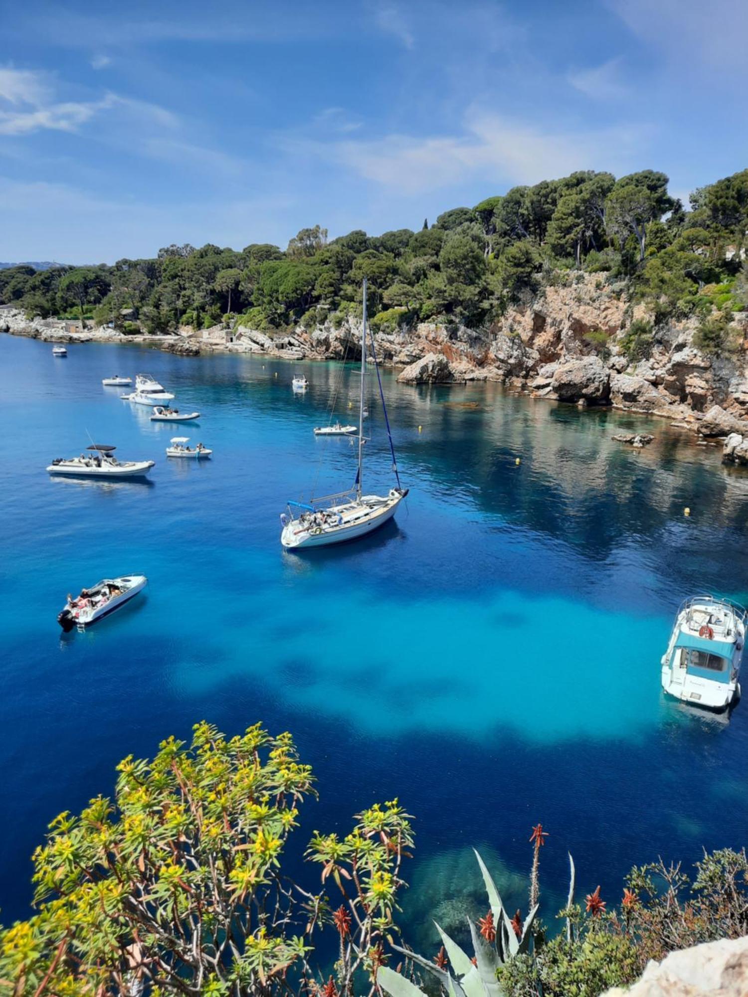 Studio Sun-Beach Avec Parking Et Jardin - 500M Des Plages De Juan Les Pins Antibes Eksteriør bilde